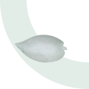 Leaf Presenter (11"x6")